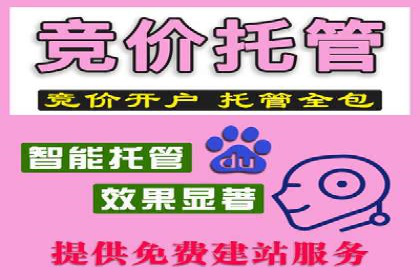 案例解析：如何通过竞价推广实现精准营销